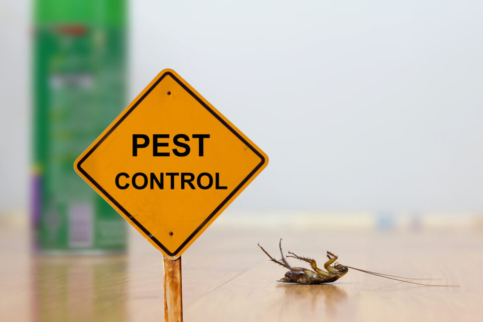 Are you tired of trying to deal with your pest problem alone? Click here for seven telltale signs that you need to hire a professional pest control company.