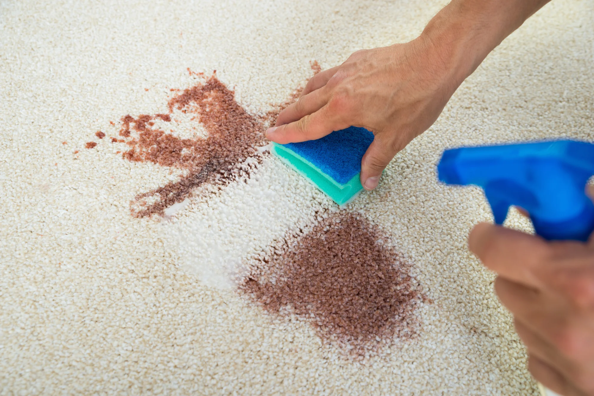 Furniture is an investment that requires care and attention. If you want to prolong the life of your favorite pieces, learn how to remove stains and spots.