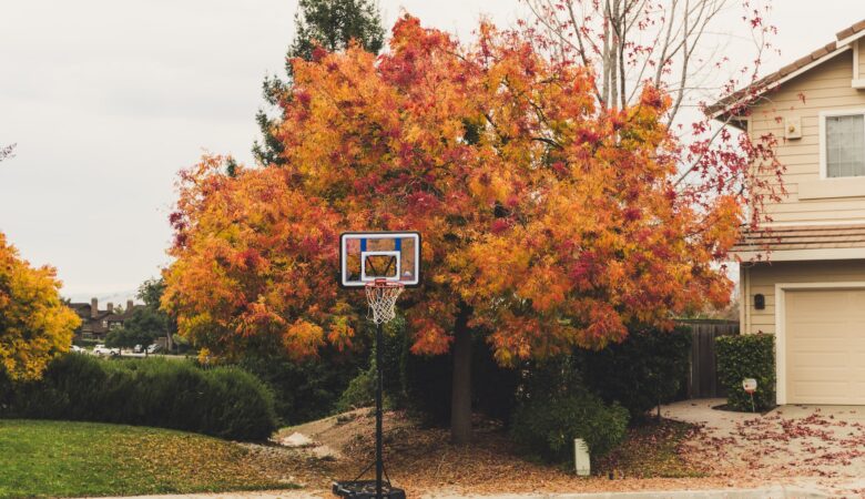 Home Maintenance Tips for the Fall Season