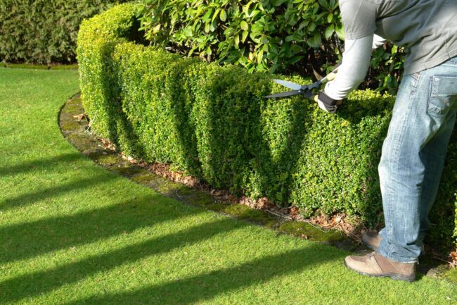 Are you looking for the right professionals to care for your yard? Click here for five practical tips for hiring reliable landscaping services.