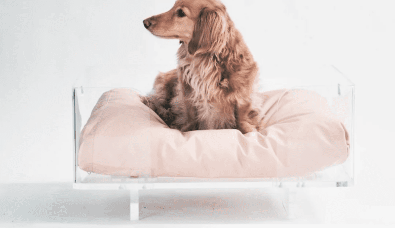 Get the Comfort Your Pup Deserves With Perfectly Fitting Custom Dog Beds