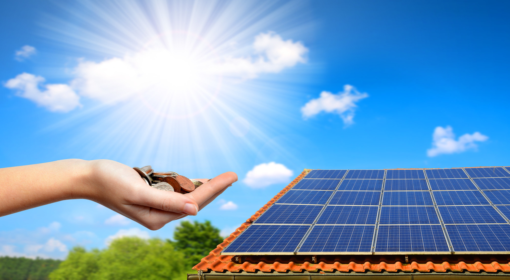 Solar panels can save you money on your utility bill. Here's a guide on how much you can save with solar panels every month.