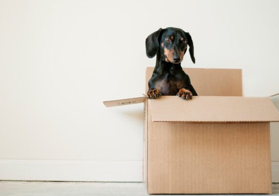 Expert Tips On How to Downsize When Moving Into a Brand New House