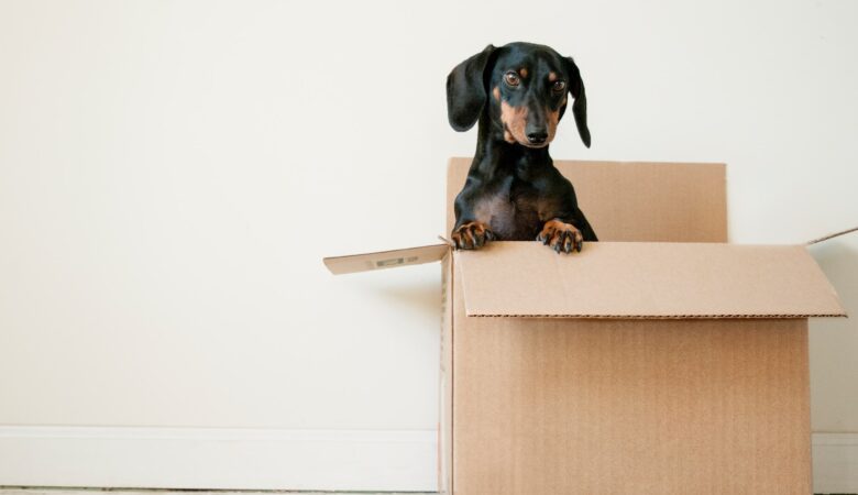 Expert Tips On How to Downsize When Moving Into a Brand New House