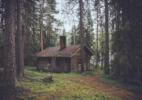 Turning Your Dream Cabin Into A Reality: The 7 Must-Have Amenities