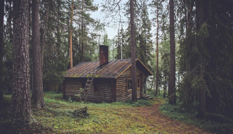 Turning Your Dream Cabin Into A Reality: The 7 Must-Have Amenities