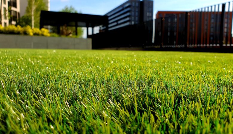 Why New Homeowners Should Take A Lawn Care Course