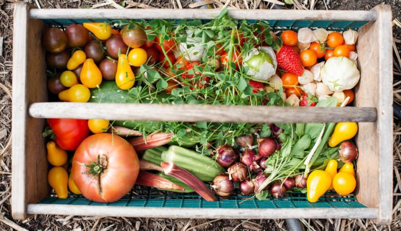 Growing Your Own Vegetables: Tips and Tricks for a Successful DIY Garden