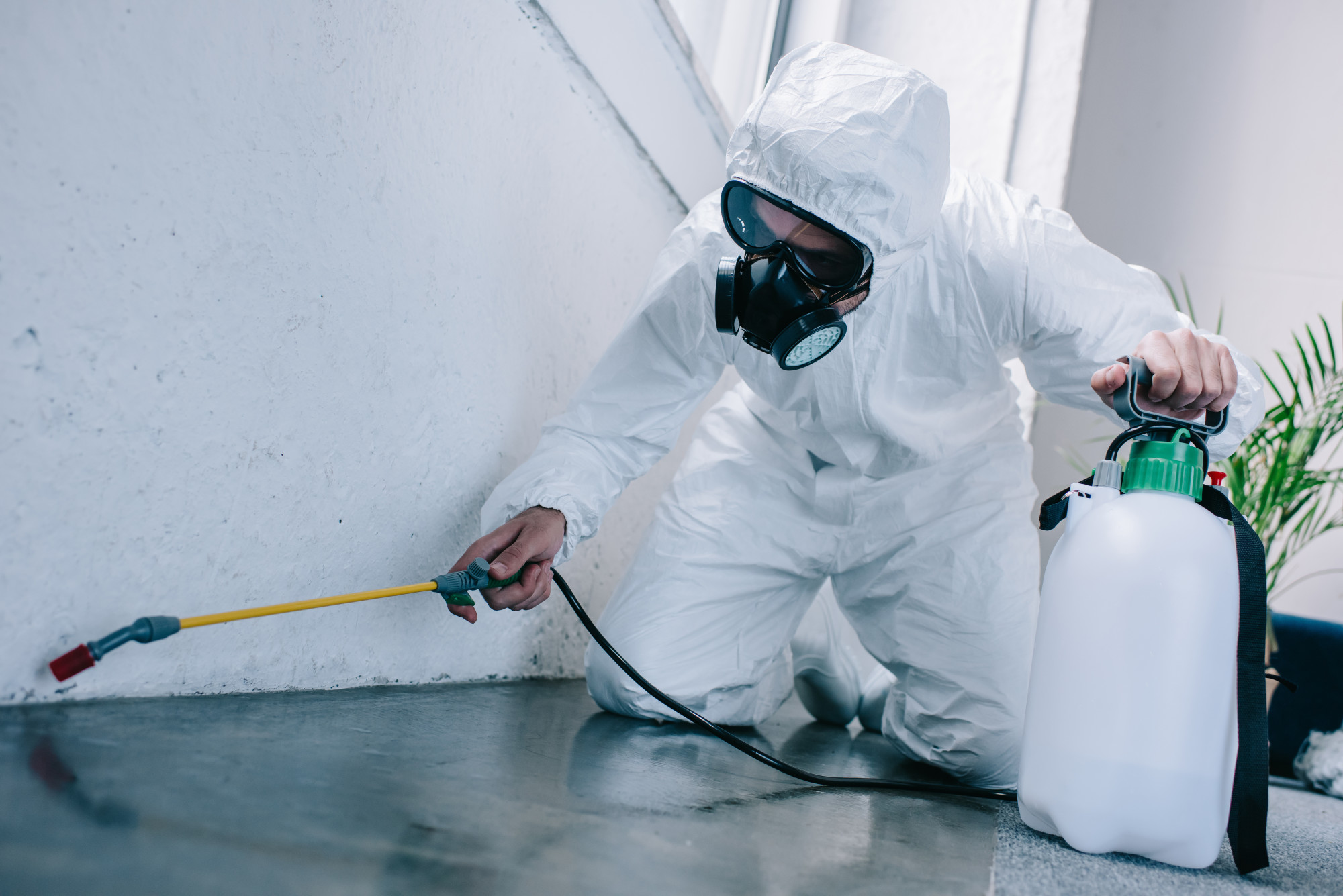 Cost-Effective Strategies For Commercial Cleaning in Dallas