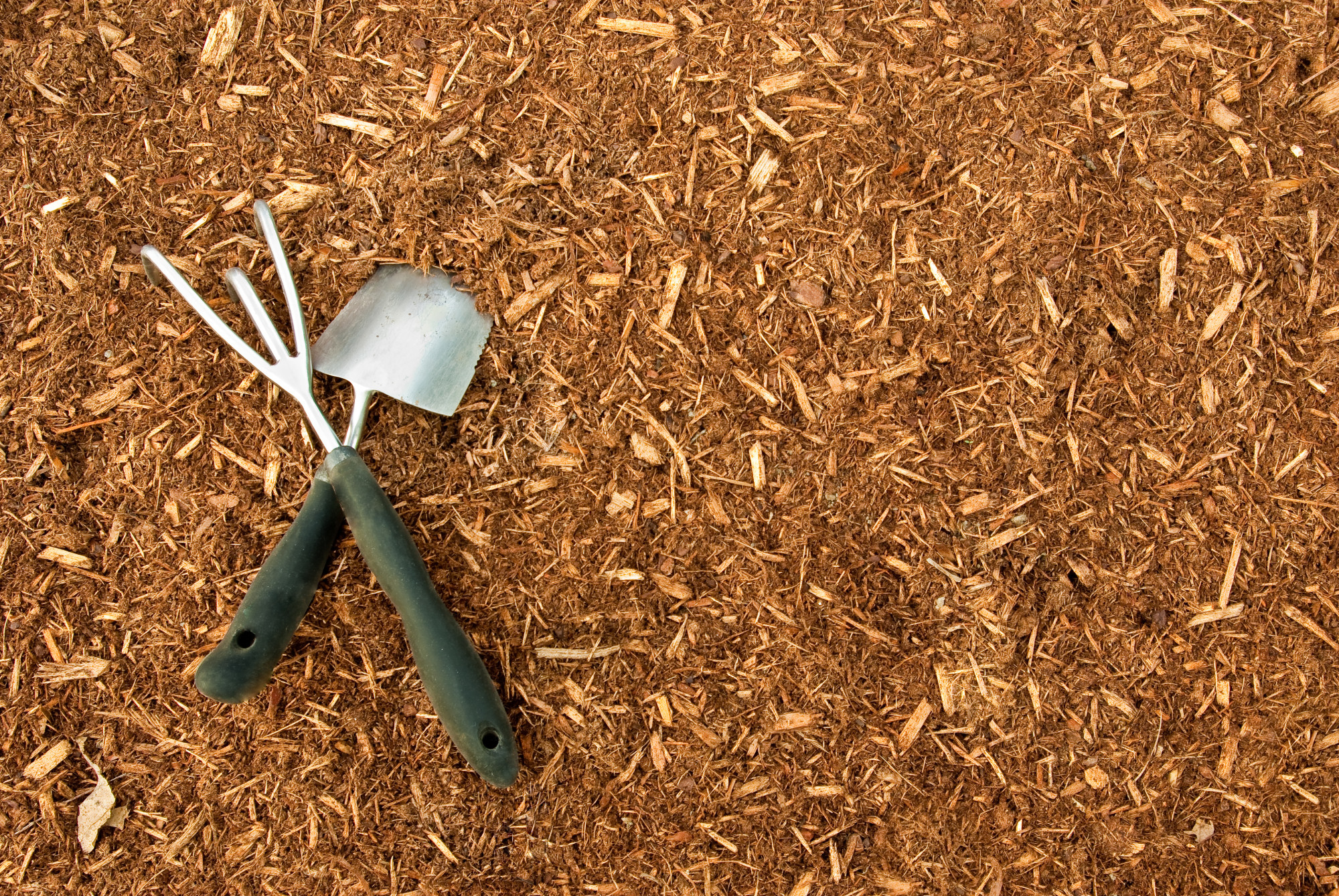 Mulching has plenty of benefits for your yard and plants. But replacing mulch will allow you to get the most benefit. Here's how often you should replace it.