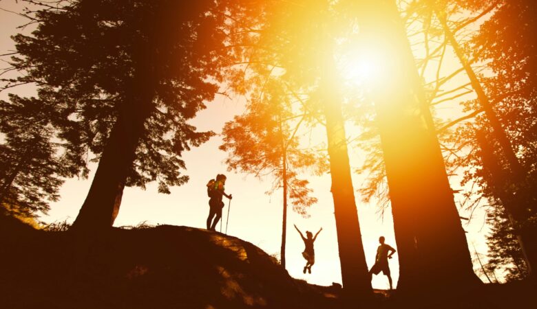 3 Vacation Ideas for Wildlife Lovers
