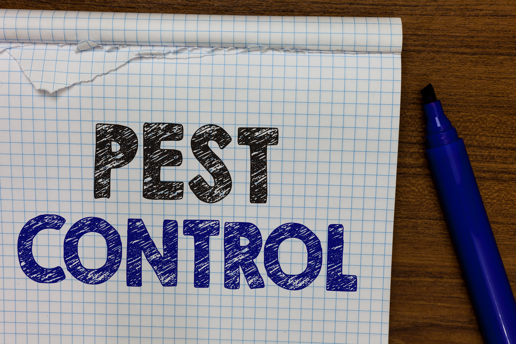 Are you wondering if exterior pest control is really necessary? Click here for five great reasons you should hire outdoor pest control services for your home.