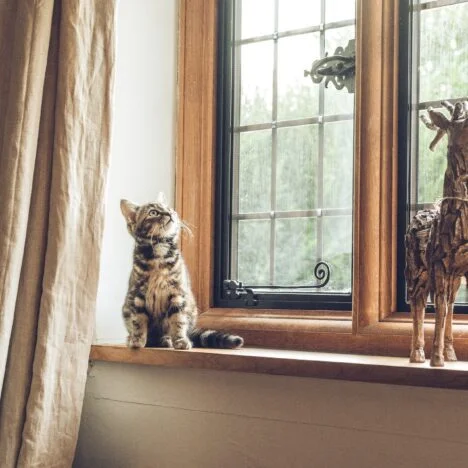 The Art of Thoughtful Giving: How to Choose Meaningful Gifts