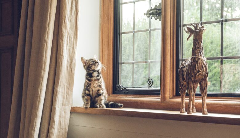 The Benefits of Upgrading to Single Hung Windows for Your Home