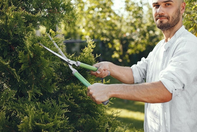 Yard Chores You Shouldn't Neglect