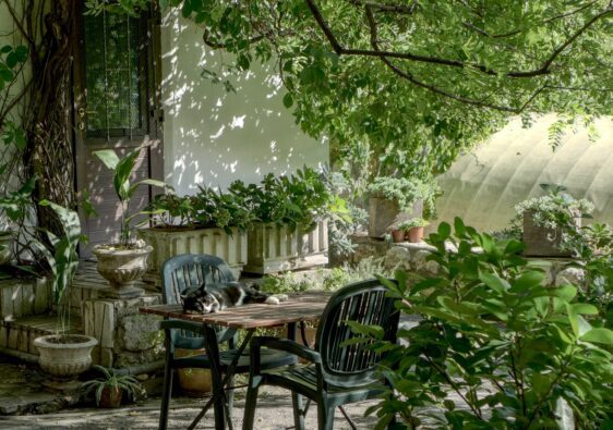 A Simple Guide to Creating a Bougie & Stylish Back Garden
