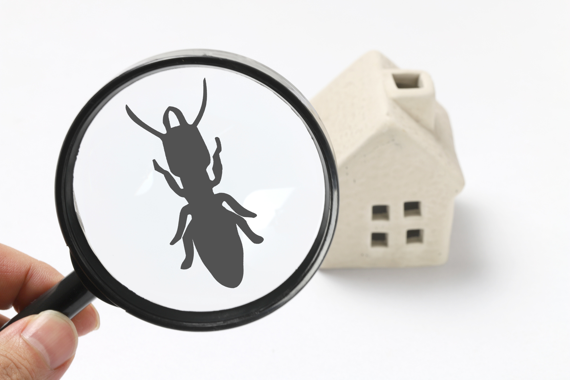 Some signs of a pest infestation are more obvious than others. Here are 7 signs that you may need to call your local pest control company.