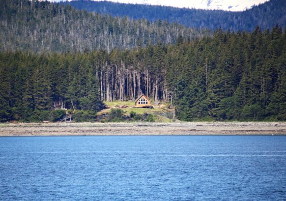 Sustainable Living: How Homesteading Reduces Your Ecological Footprint