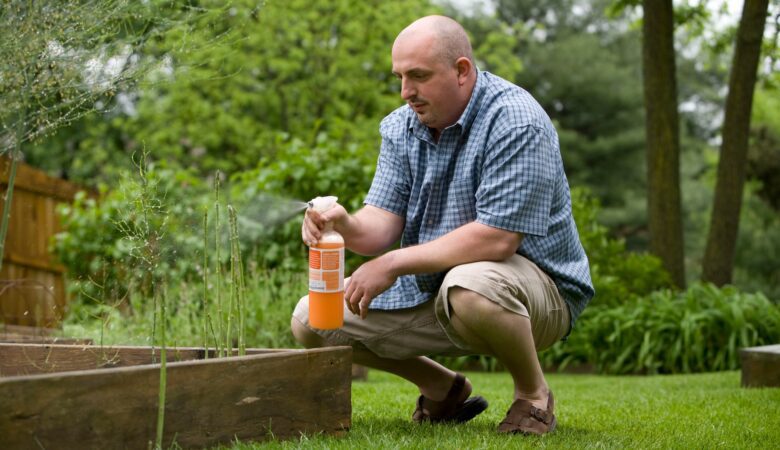 5 Reasons Why Pest Control Services Are A Must in Charlotte