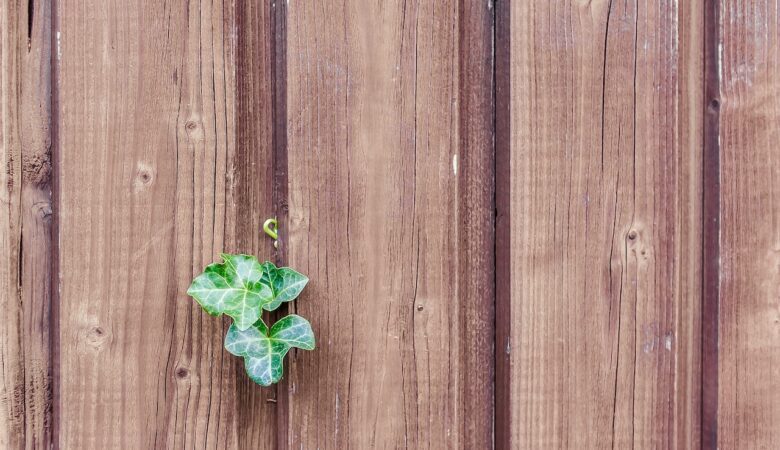 Top 4 Qualities To Look For When Hiring A Wood Fence Company