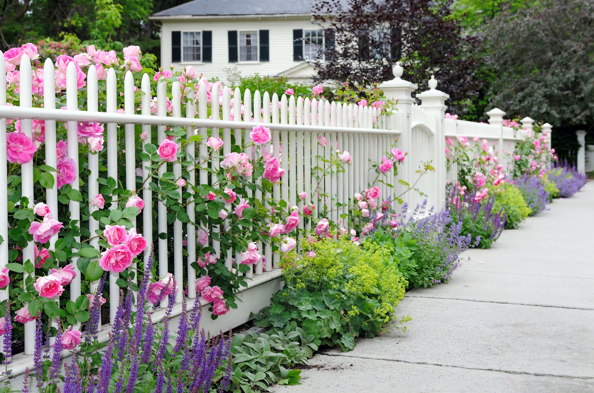 There are countless front yard fencing designs to accent your landscaping. From the classic picket white fence to modern alternatives, discover more here!