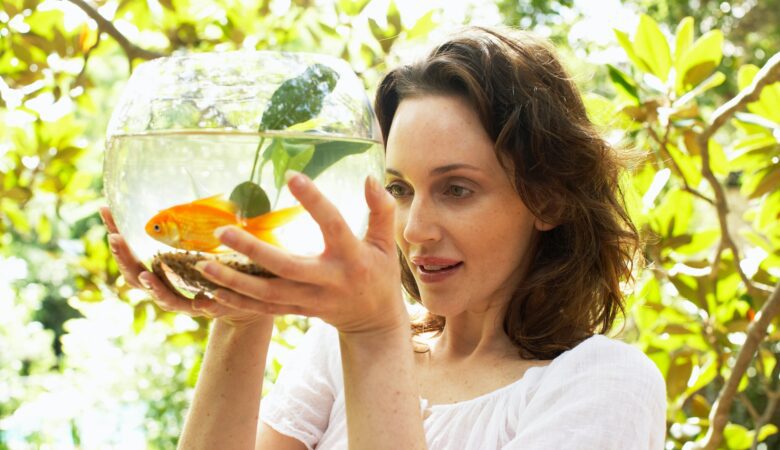 Factors to Consider Before Buying a Home Aquarium