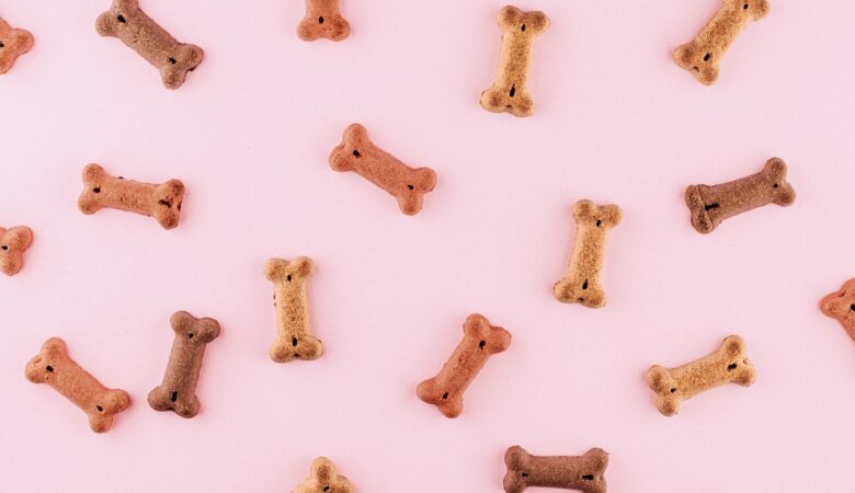 How to Sell Dog Treats Online and Make Money?