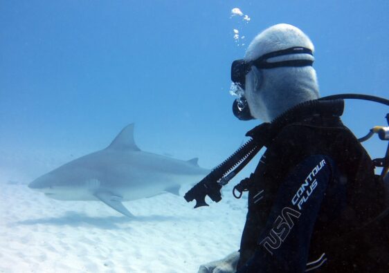 Sydney Shark Diving: How to Prepare for Your First Dive