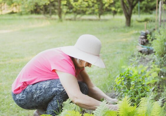 Sustainable Landscaping: Eco-Friendly Practices for Your Garden