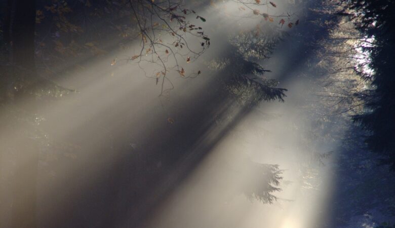 Sunlight vs. Artificial Light : Striking the Perfect Balance at Home