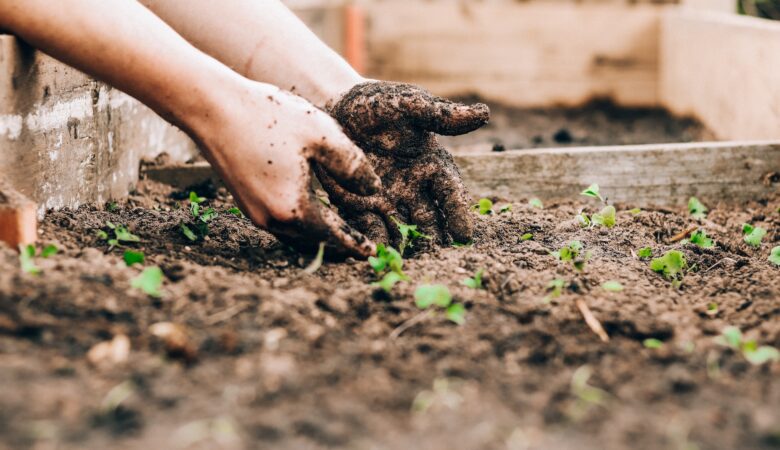 How to design a sustainable garden