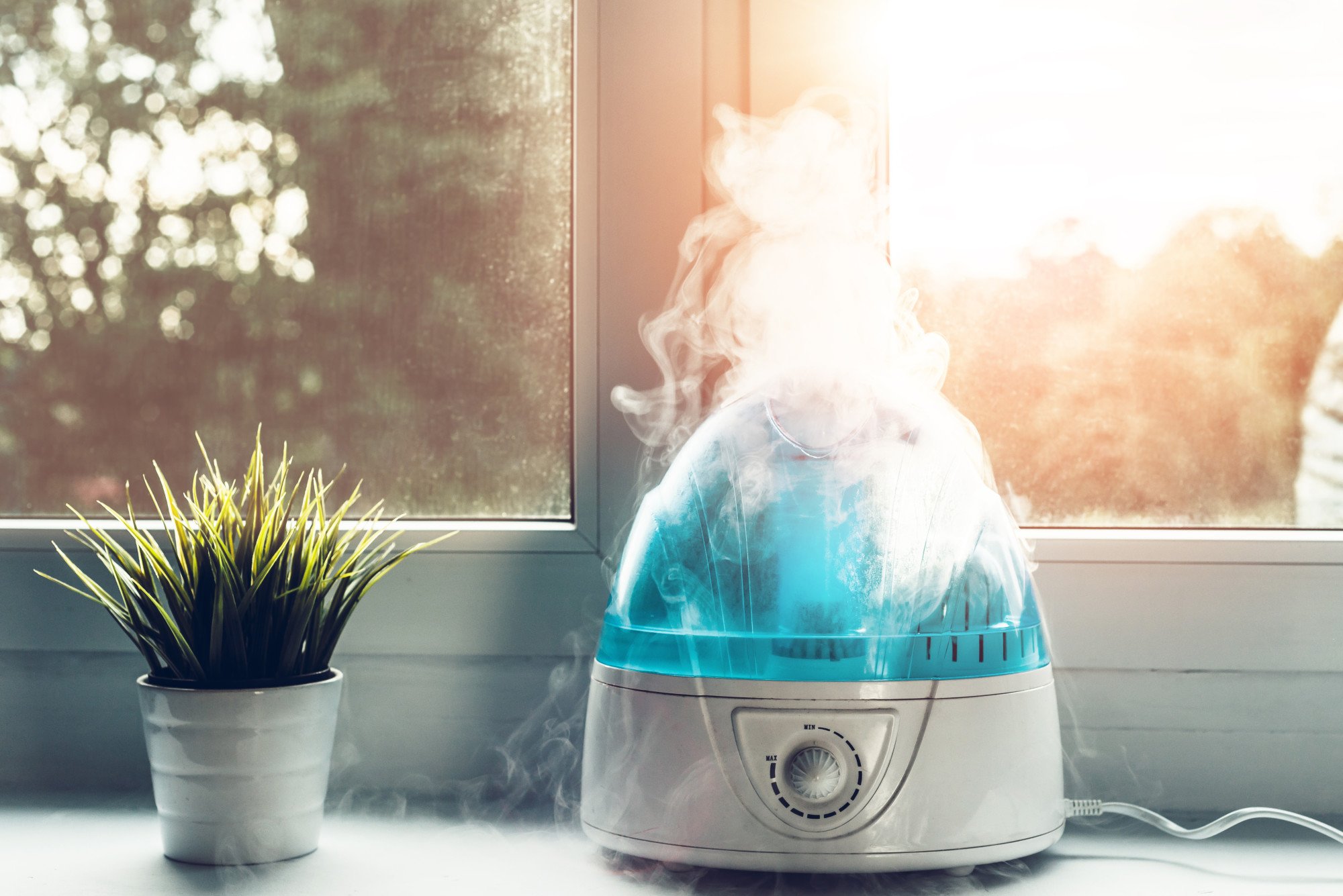 Explore the disparities between an air purifier vs humidifier to determine the best fit for your needs and indoor air quality.