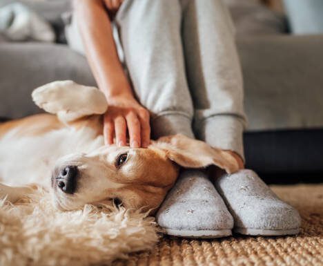 Why Are More Companies Turning to Consultants for Key Business Challenges? Here’s What’s Driving the Trend