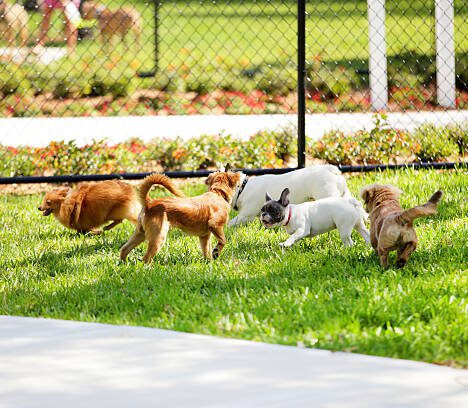 How Regular AC Maintenance Can Help You Save on Cooling Costs