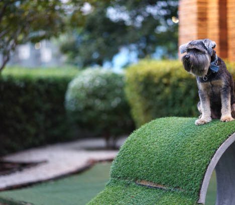 Work-Ready Kicks: Where Casual Shoes Meet Professional Style