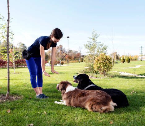 Are You Really a Dog Person—or Do These Signs Say You’re a Cat Person Instead?