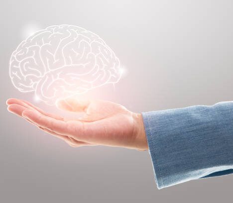 Up Close with a Tiger: Why This Experience Beats Any Zoo Trip