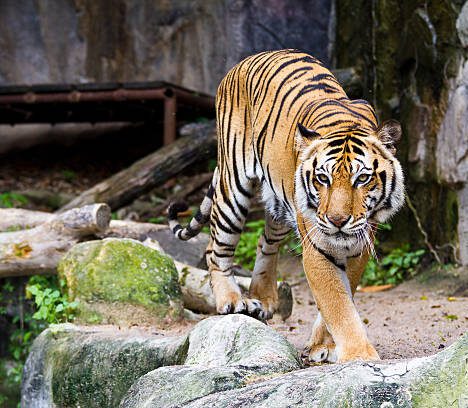 The Neuroscience Behind Ketamine Therapy: How It Rewires the Depressed Brain