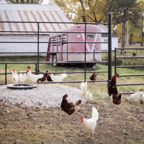 Sammamish, WA Real Estate: A Guide for Homebuyers